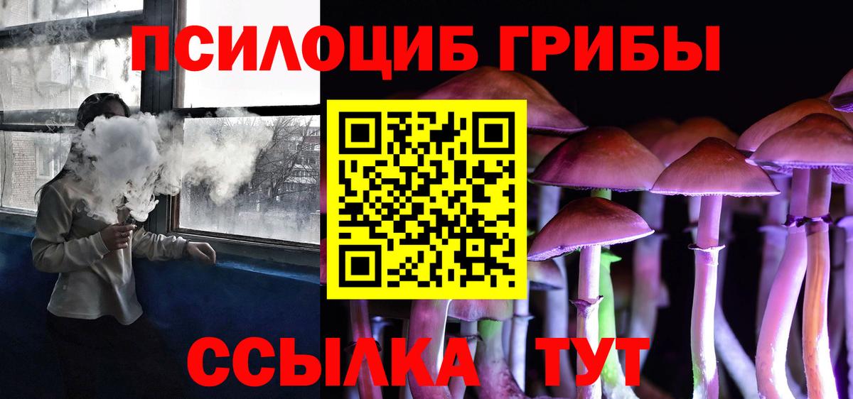 Чехов  Галлюциногенные грибы прущие грибы  как найти закладки  Вход с VPN 